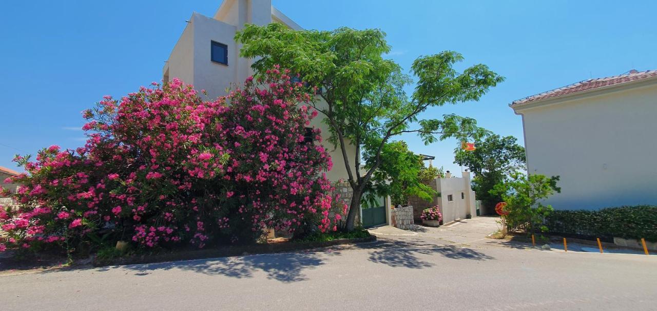 Boutique Home Saltaragazza Petrovac 외부 사진