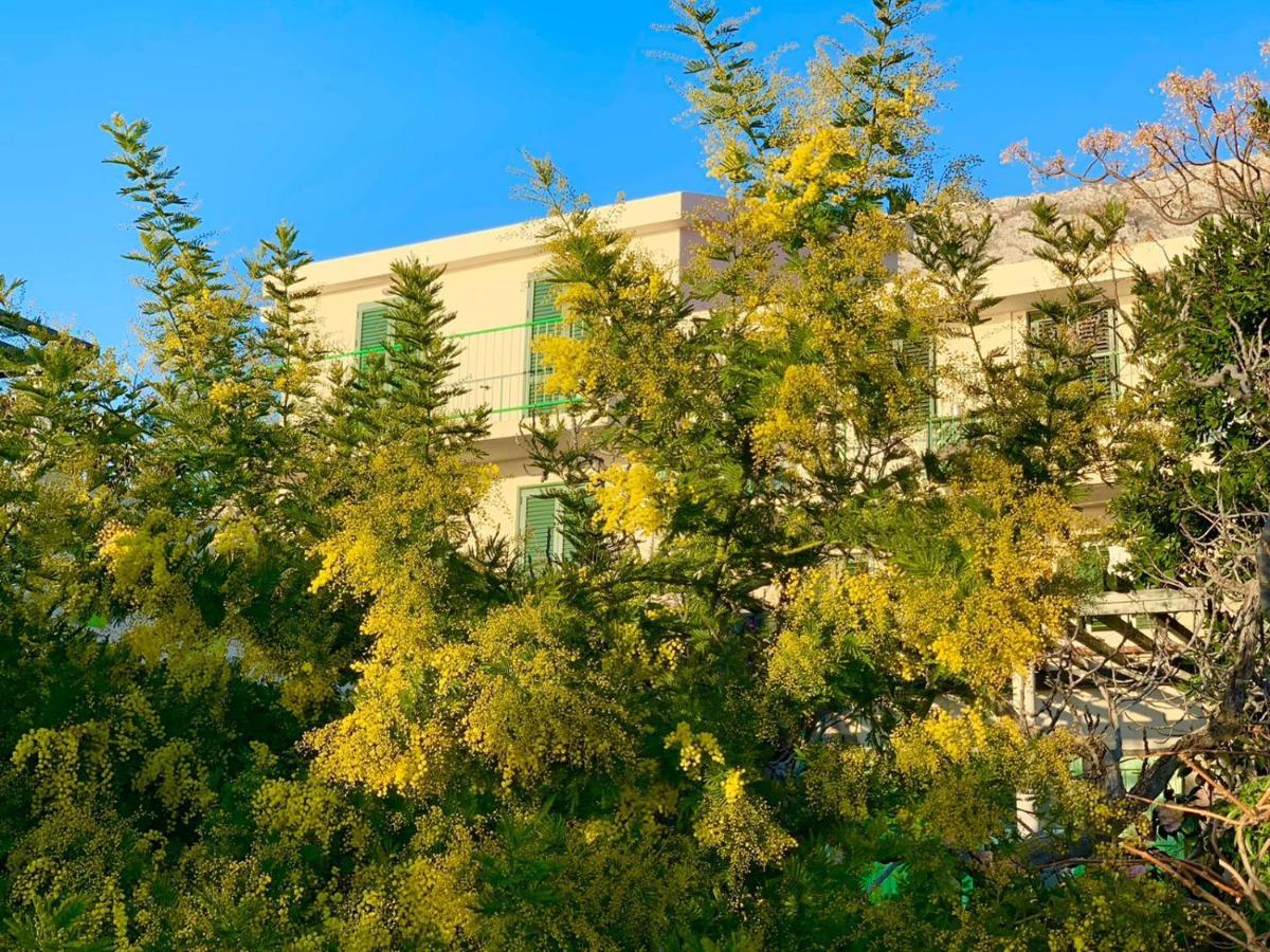 Boutique Home Saltaragazza Petrovac 외부 사진
