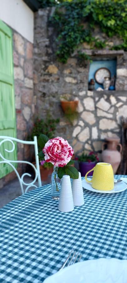 Boutique Home Saltaragazza Petrovac 외부 사진