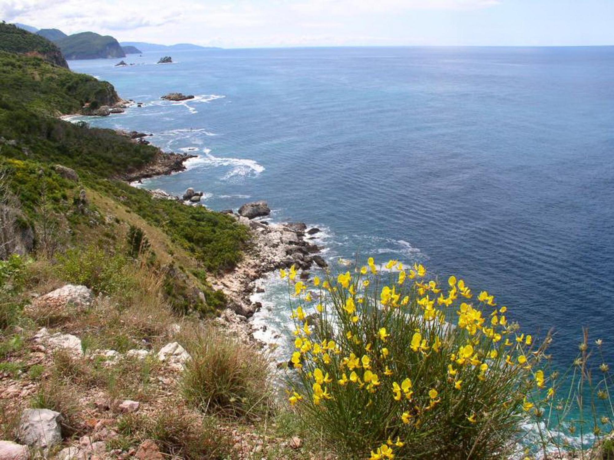 Boutique Home Saltaragazza Petrovac 외부 사진