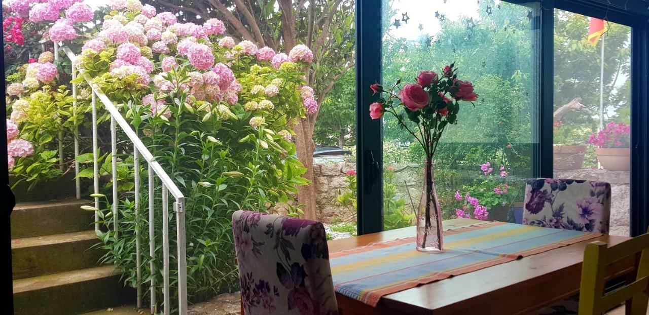 Boutique Home Saltaragazza Petrovac 외부 사진