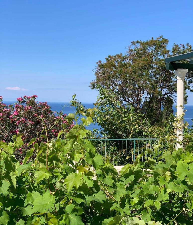 Boutique Home Saltaragazza Petrovac 외부 사진